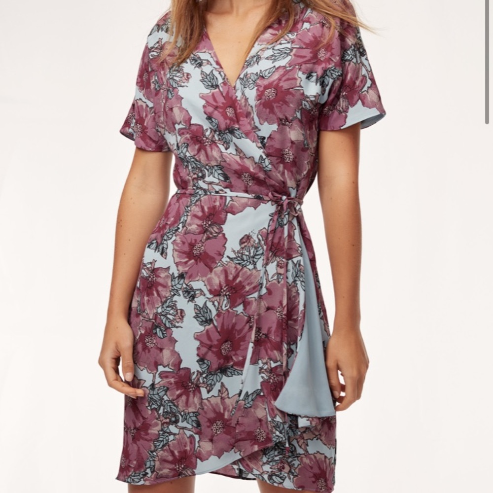 Aritzia Floral Wrap Dress in Dusty Rose and Light Blue